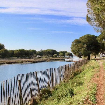 Le Majorque Studio Clim, 2 Etoiles, A 50 M Plage Point Zero, Parking, Ascenseur La Grande-Motte Kültér fotó